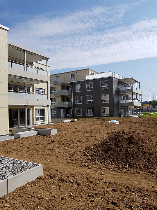 BremgartenFlachdach