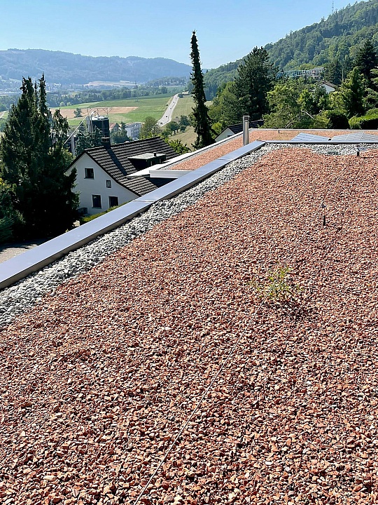 Bellegr&uuml;t, Oetwil