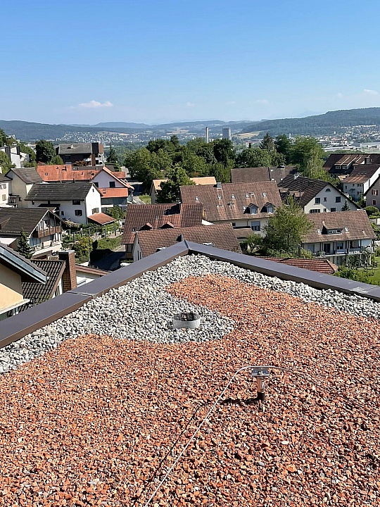 Bellegr&uuml;t, Oetwil