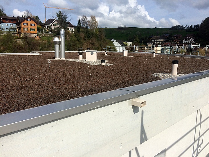 NiederdorfFlachdach