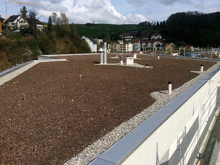 NiederdorfFlachdach