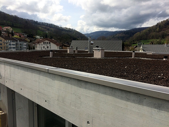NiederdorfFlachdach